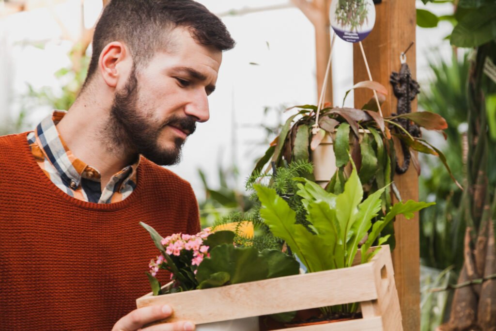 How to Grow a Coffee Tree at Home