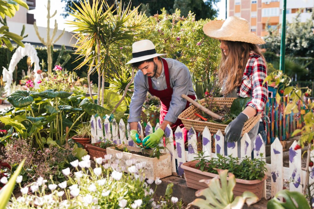 Budget-Friendly Garden Design Ideas