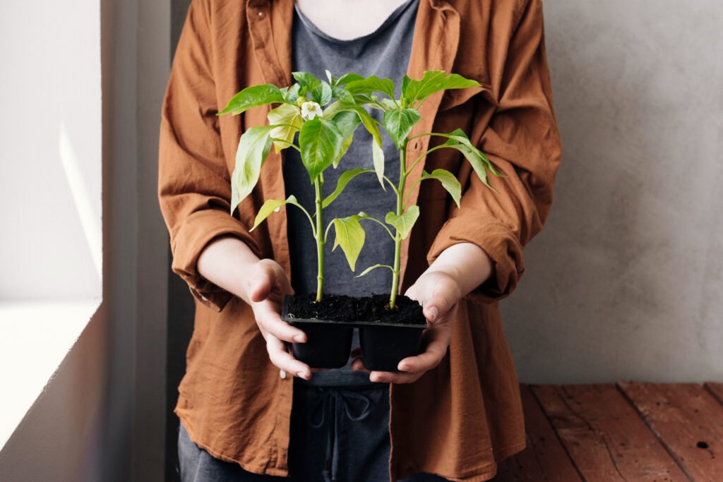 Soil Propagation vs. Water Propagation