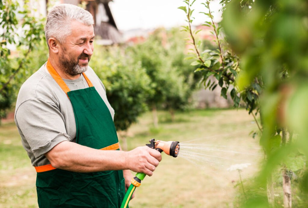 Watering a Weeping Mulberry Tree