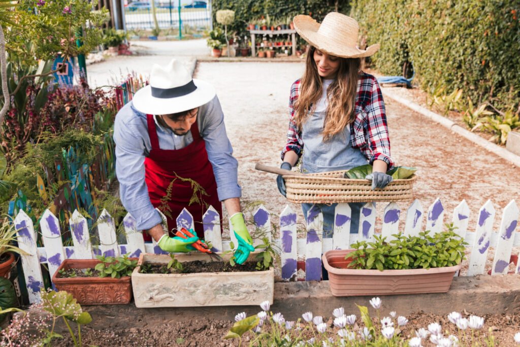 Step 11: Create a Garden Layout Plan Before Planting